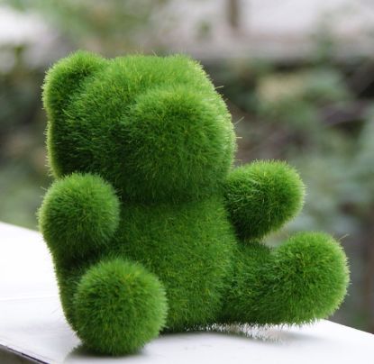 Topiary Garden Ideas