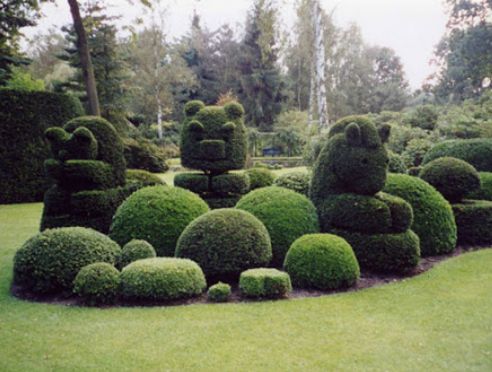 Topiary Garden Ideas