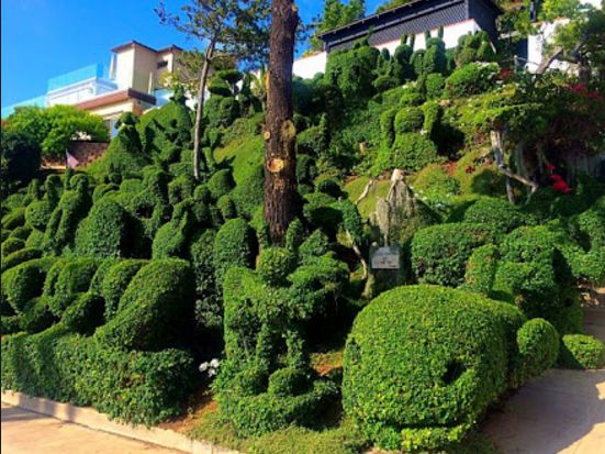 Topiary Garden Ideas
