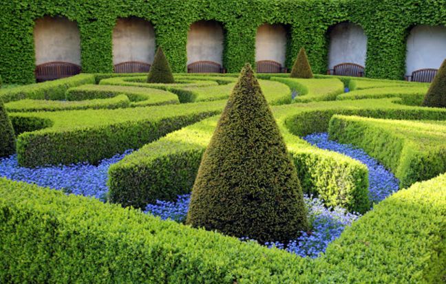 Topiary Garden Ideas
