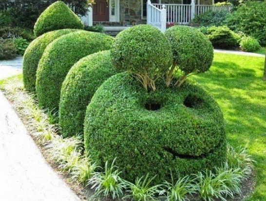 Topiary Garden Ideas