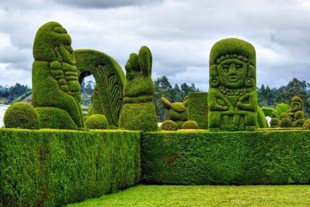 Topiary Garden Ideas