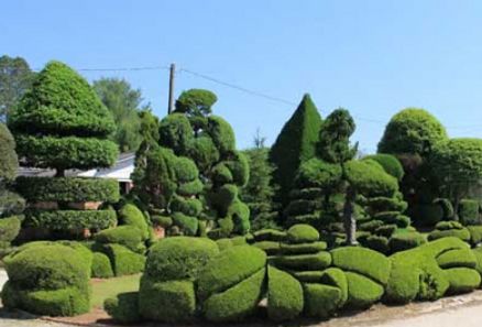 Topiary Garden Ideas