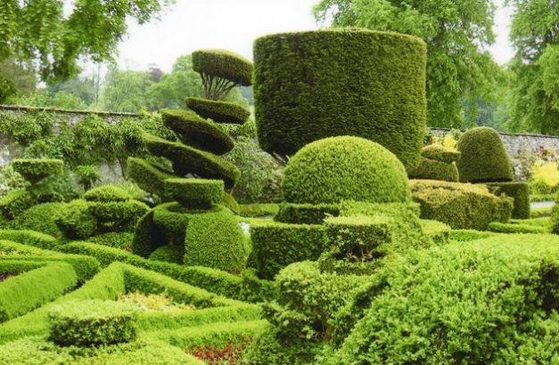 Topiary Garden Ideas