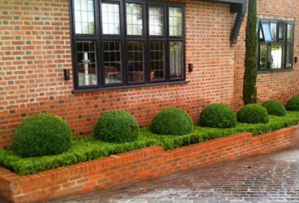 Topiary Garden Ideas