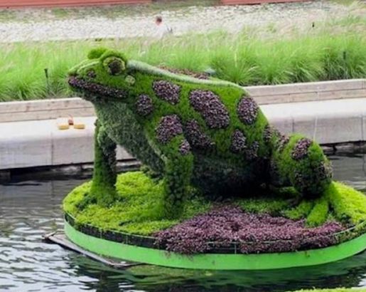 Topiary Garden Ideas