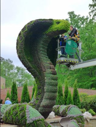 Topiary Garden Ideas