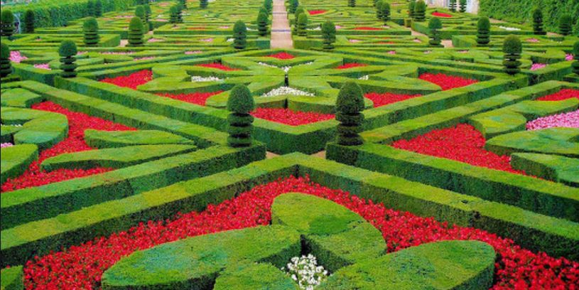 Topiary Garden Ideas