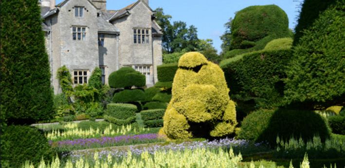 Topiary Garden Ideas