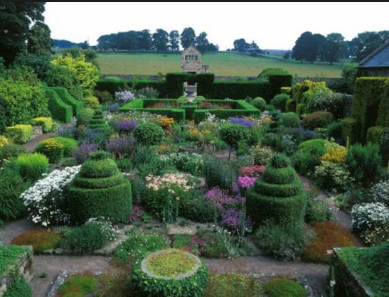 Topiary Garden Ideas