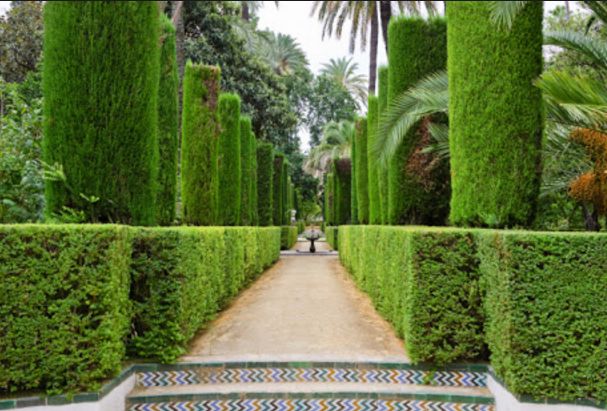 Topiary Garden Ideas