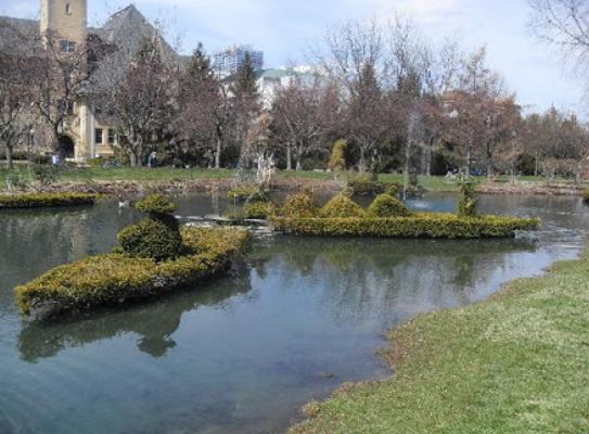 Topiary Garden Ideas