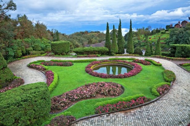 Topiary Garden Ideas