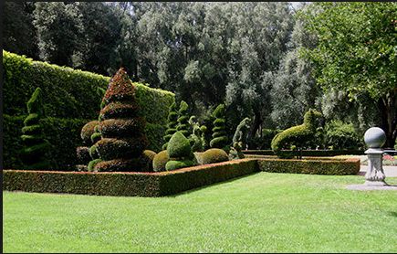 Topiary Garden Ideas