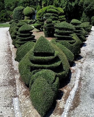 Topiary Garden Ideas