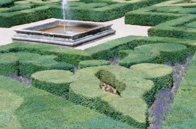 Topiary Garden Ideas