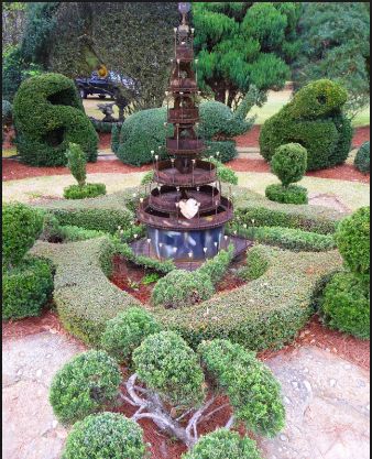Topiary Garden Ideas