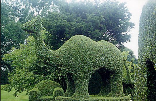 Topiary Garden Ideas
