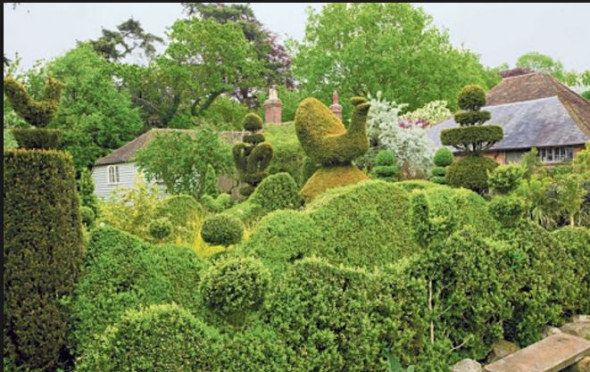 Topiary Garden Ideas