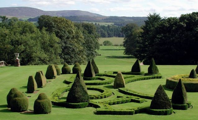 Topiary Garden Ideas