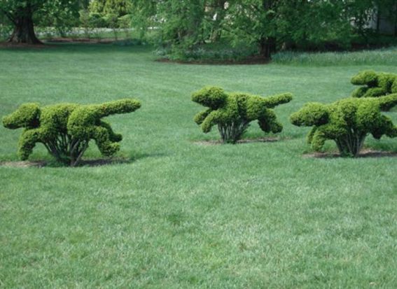 Topiary Garden Ideas