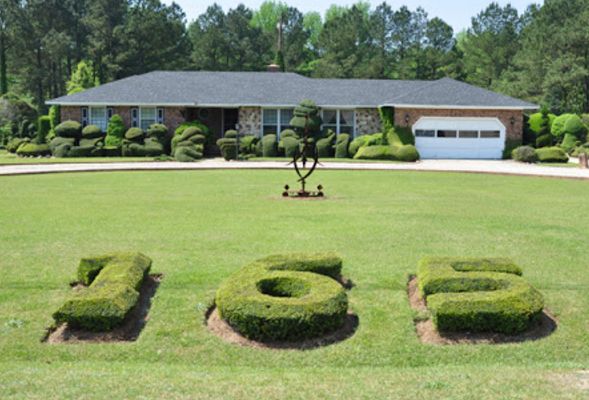 Topiary Garden Ideas