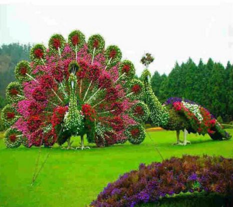 Topiary Garden Ideas