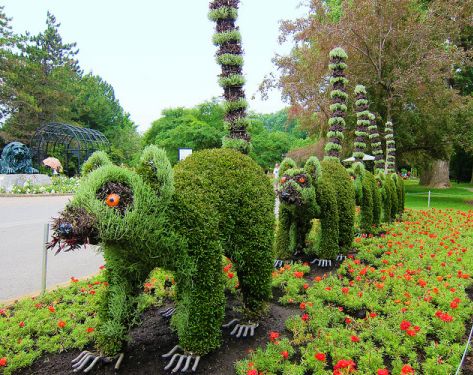 Topiary Garden Ideas