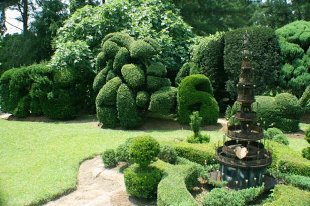 Topiary Garden Ideas