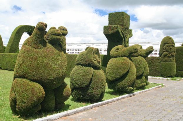 Topiary Garden Ideas