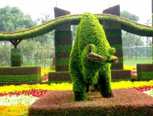 Topiary Garden Ideas
