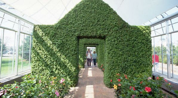 Topiary Garden Ideas