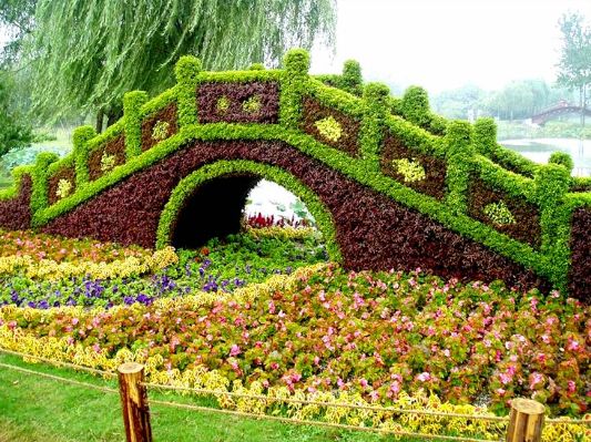 Topiary Garden Ideas