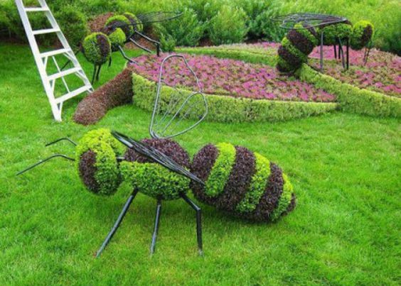 Topiary Garden Ideas