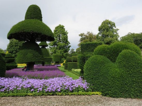 Topiary Garden Ideas