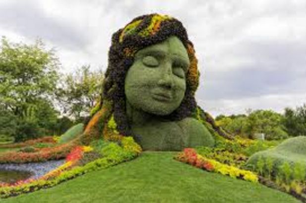 Topiary Garden Ideas