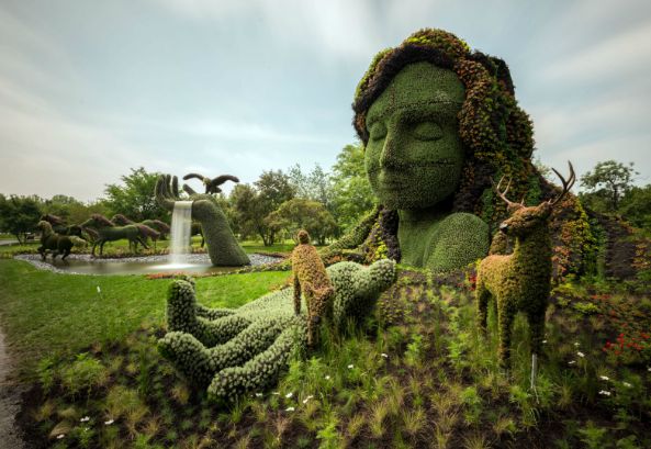 Topiary Garden Ideas