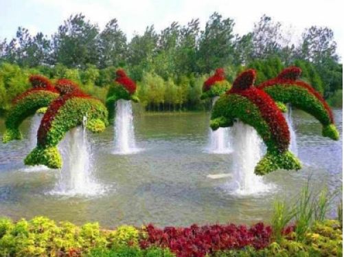 Topiary Garden Ideas