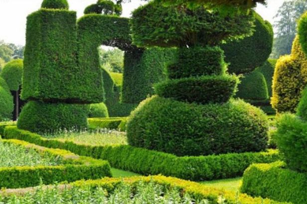Topiary Garden Ideas