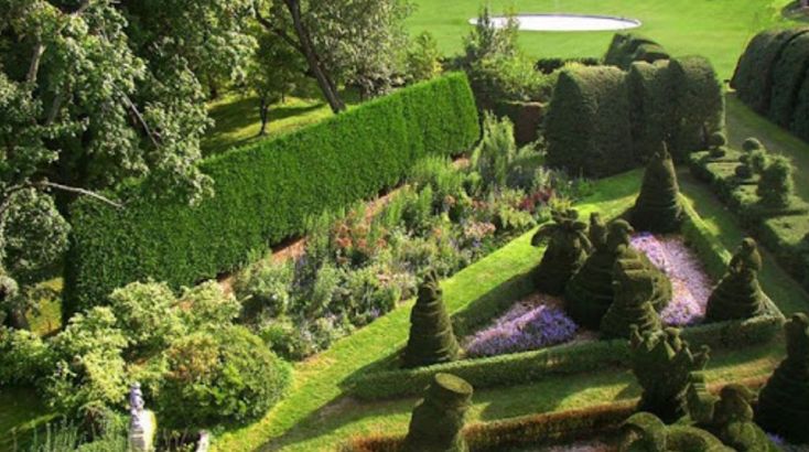 Topiary Garden Ideas