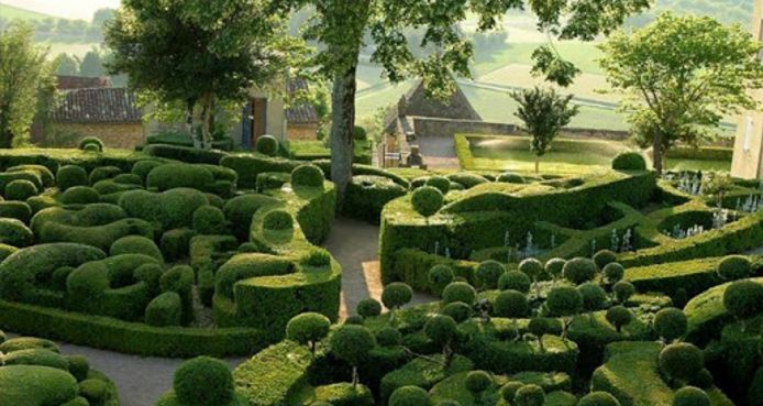 Topiary Garden Ideas