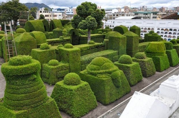 Topiary Garden Ideas