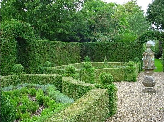 Topiary Garden Ideas