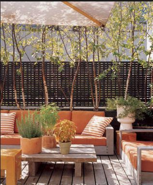 Terrace Home Design Ideas