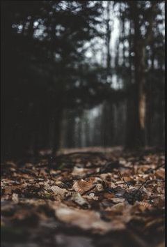 Hipster Images