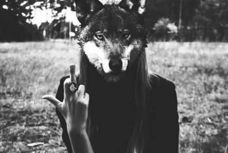 Hipster Images