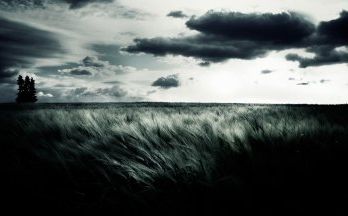 Hipster Images