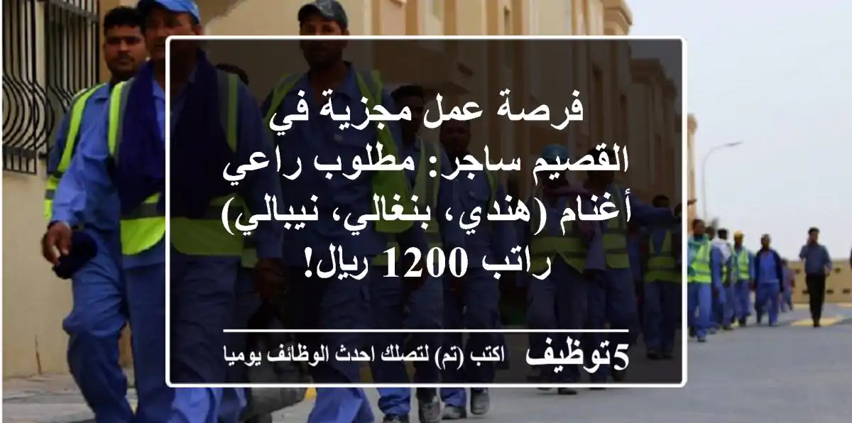 فرصة عمل مجزية في القصيم ساجر: مطلوب راعي أغنام (هندي، بنغالي، نيبالي) - راتب 1200 ريال!